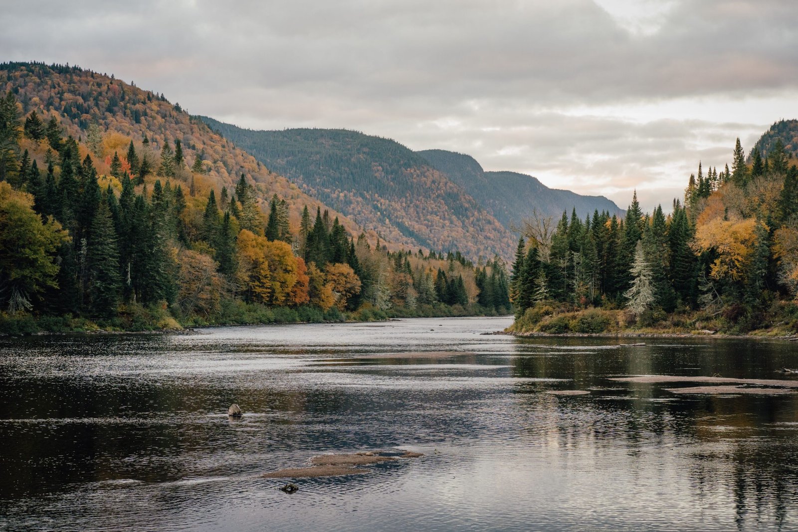 pexels-clement-proust-363898785-18372927 Autumn Day